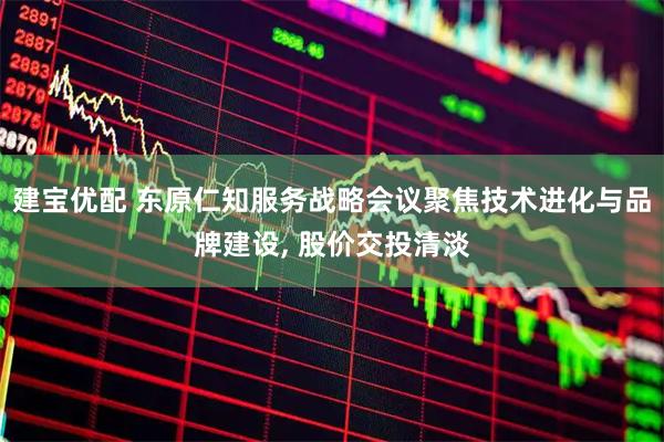 建宝优配 东原仁知服务战略会议聚焦技术进化与品牌建设, 股价交投清淡