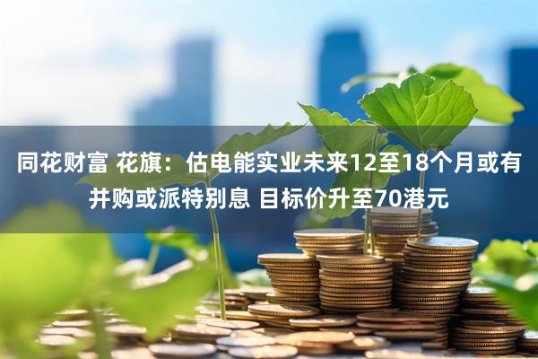 同花财富 花旗：估电能实业未来12至18个月或有并购或派特别息 目标价升至70港元