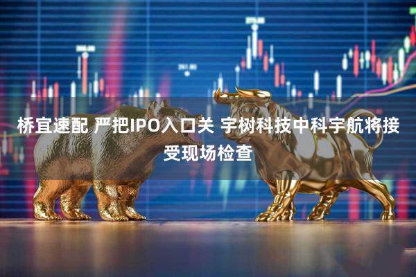 桥宜速配 严把IPO入口关 宇树科技中科宇航将接受现场检查