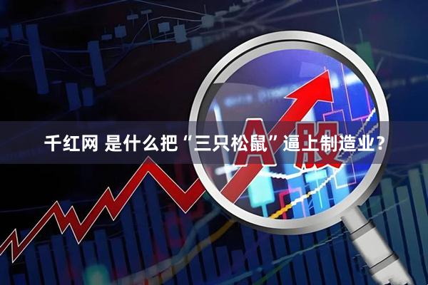 千红网 是什么把“三只松鼠”逼上制造业？