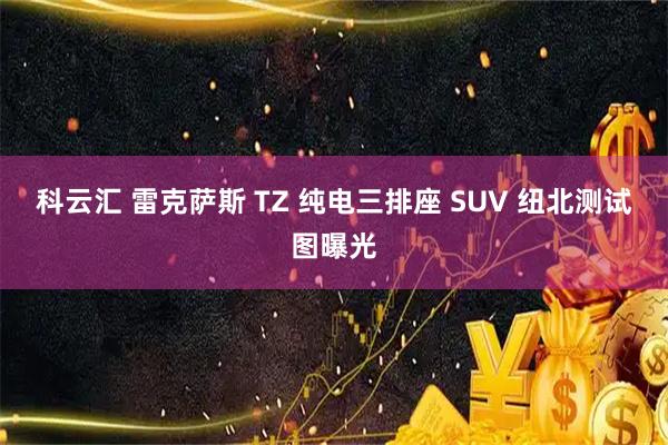 科云汇 雷克萨斯 TZ 纯电三排座 SUV 纽北测试图曝光