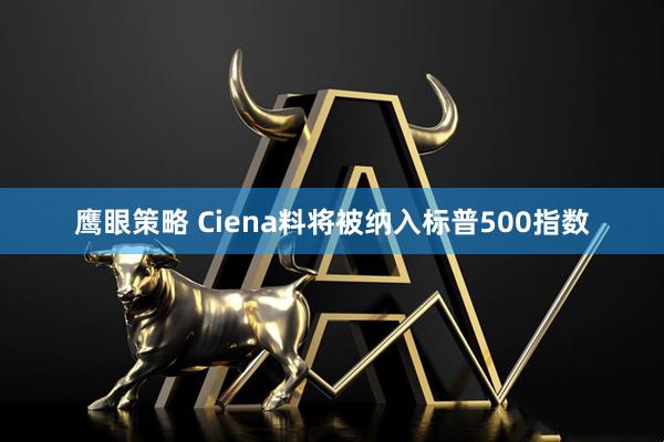 鹰眼策略 Ciena料将被纳入标普500指数