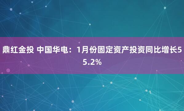 鼎红金投 中国华电：1月份固定资产投资同比增长55.2%