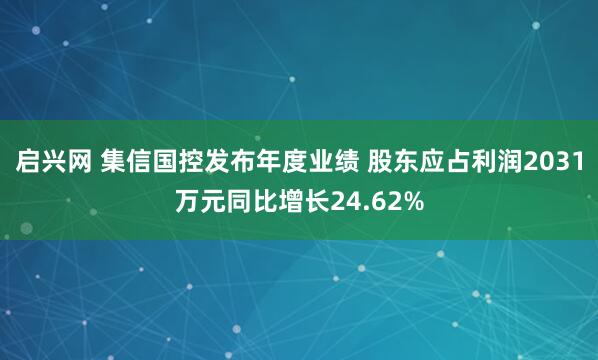 启兴网 集信国控发布年度业绩 股东应占利润2031万元同比增长24.62%