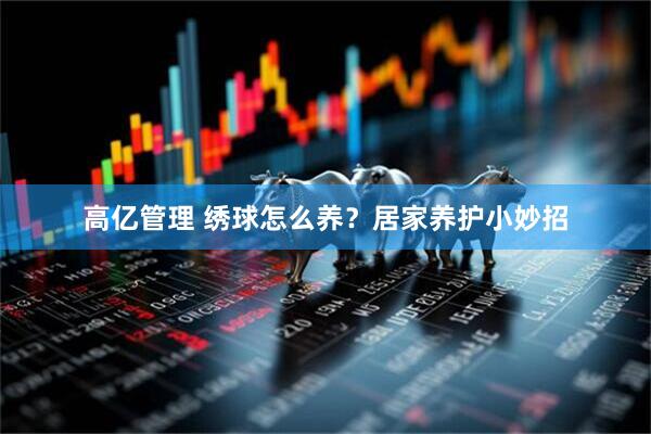 高亿管理 绣球怎么养？居家养护小妙招